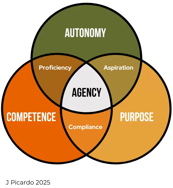 Venn diagram with three circles, autonomy, competence and purpose, overlapping at agency in the centre. Competence and autonomy overlap as proficiency, autonomy and purpose as aspiration, and competence and purpose as compliance.