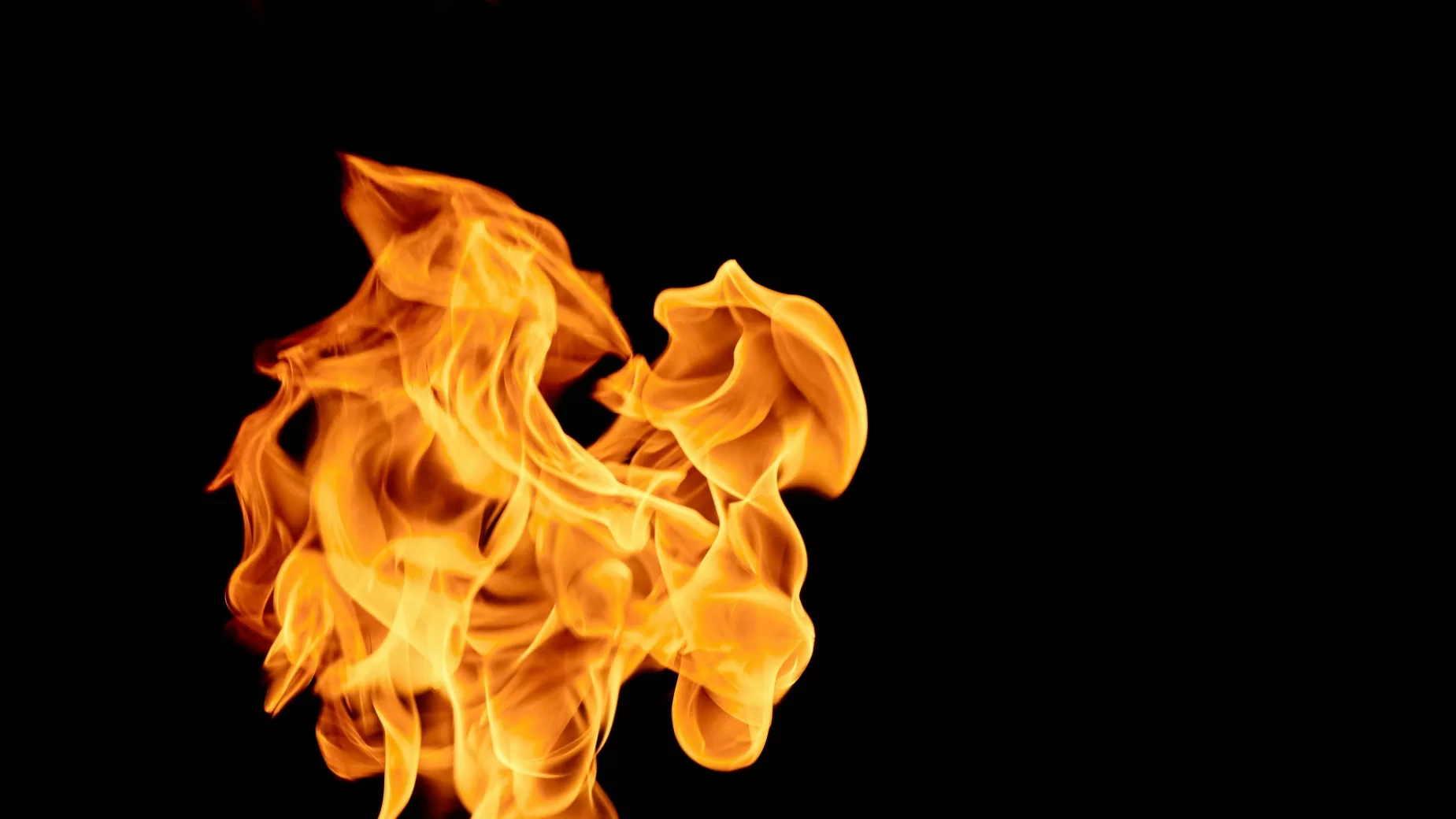 Teaching at the Speed of Hype: What AI can learn from Web 2.0